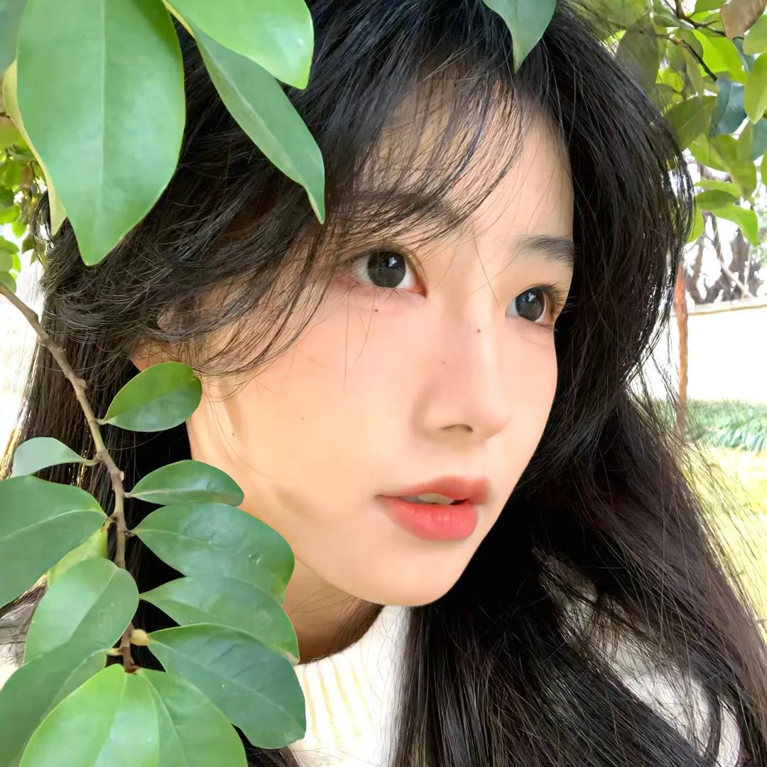 南美之恋